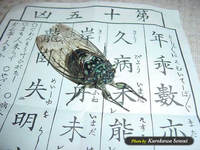 c060824minmin.jpg